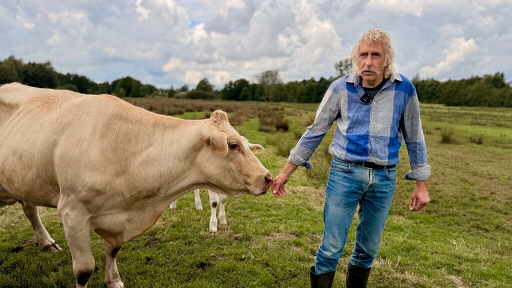 Atsje 21, oudste koe van Nederland, verrast op 30-jarige leeftijd met nieuw kalf