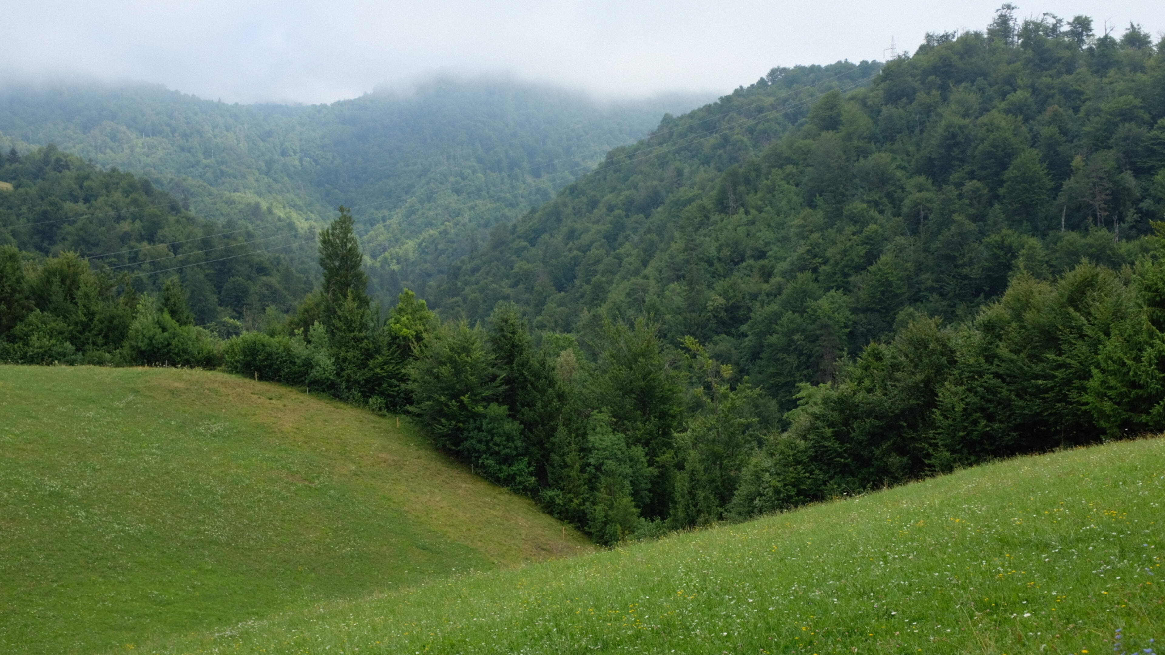 Europa te voet: van Slovenië naar Triëst door een conservatief continent
